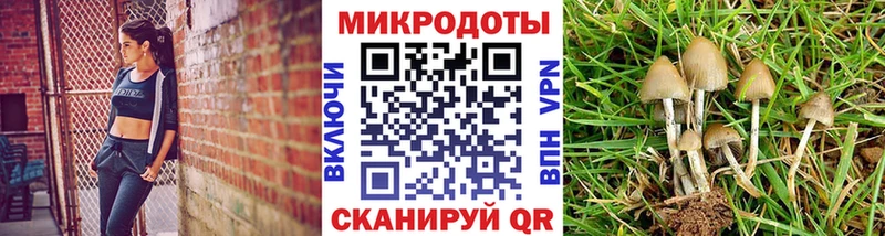 Псилоцибиновые грибы Cubensis  Михайловка 