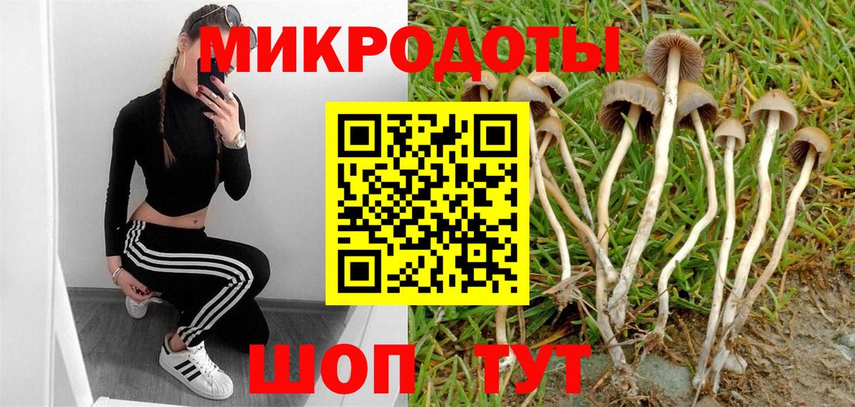 Галлюциногенные грибы GOLDEN TEACHER Михайловка